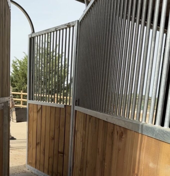 Lire la suite à propos de l’article Alimentation cheval : comment bien nourrir un cheval grâce au DAC