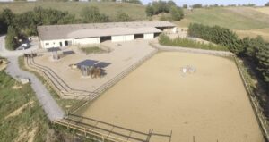 Lire la suite à propos de l’article Qu’est-ce qu’une écurie active ? Le bien-être au cœur de la vie du cheval