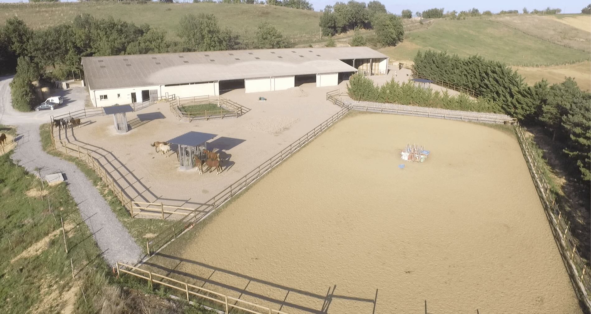 Lire la suite à propos de l’article Qu’est-ce qu’une écurie active ? Le bien-être au cœur de la vie du cheval