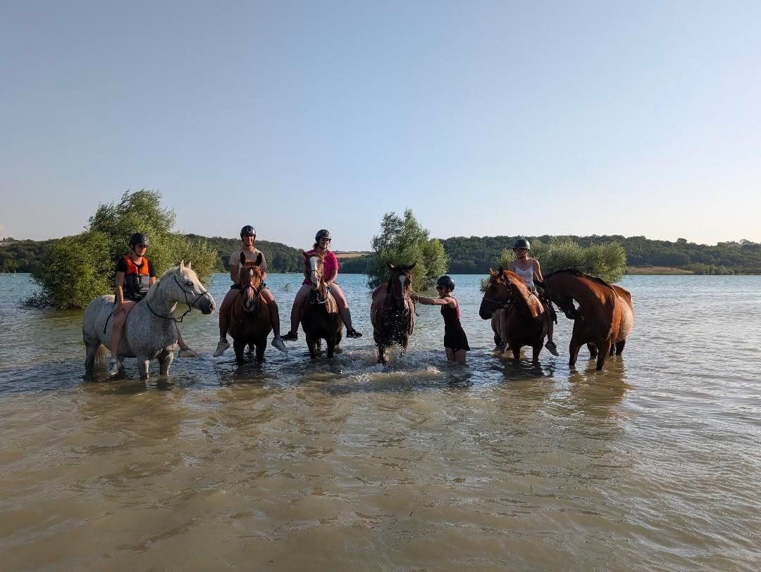 Lire la suite à propos de l’article Comment rafraîchir son cheval efficacement pendant les fortes chaleurs