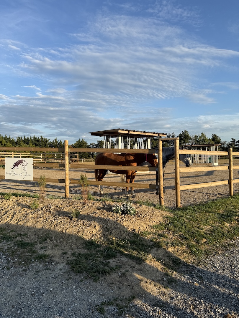 Lire la suite à propos de l’article Bien choisir sa pension pour cheval autour de Castelnaudary