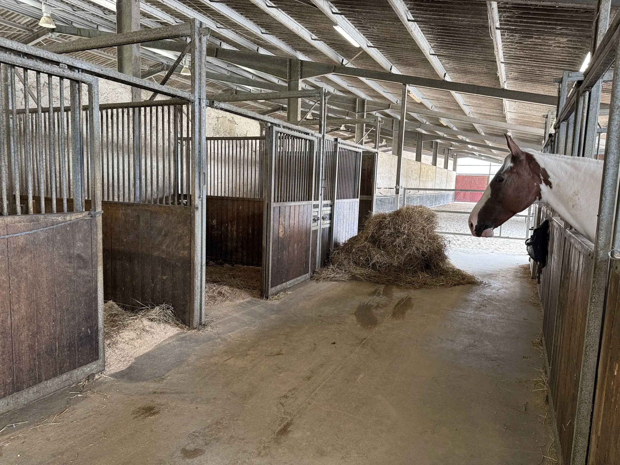 Box de soin et de convalescence attenant au dortoir